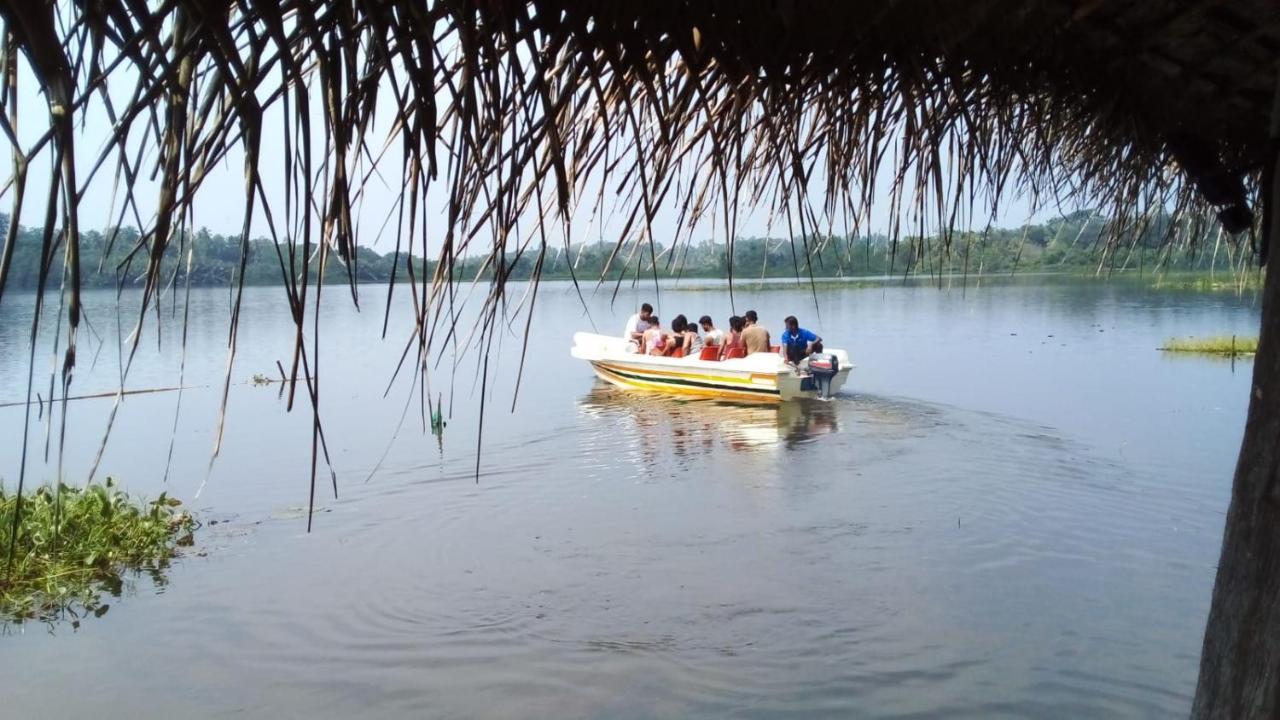 Lake Resort Bolgoda Wadduwa Exteriör bild