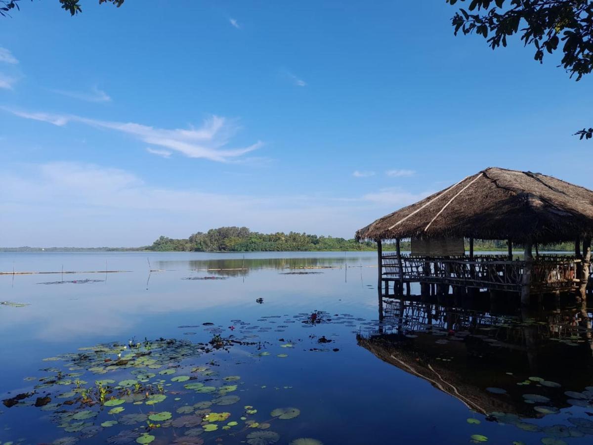 Lake Resort Bolgoda Wadduwa Exteriör bild